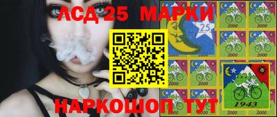 молекула духа Можга