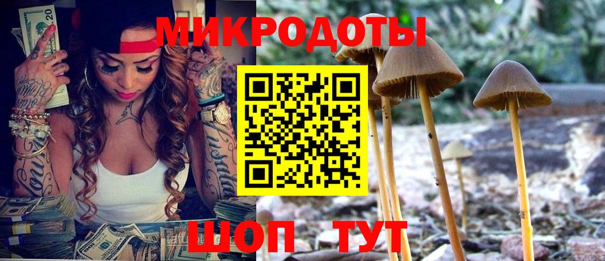 Псилоцибиновые грибы GOLDEN TEACHER Чебаркуль